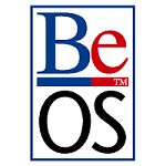 A Look Back at the BeOS File System