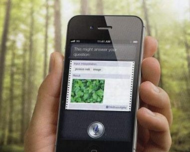 MAKE NO MISTAKE: Apple’s Future Depends On The iPhone 5