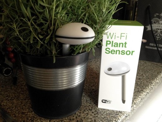TNW review: The Koubachi WiFi Plant Sensor gives your plants an online voice