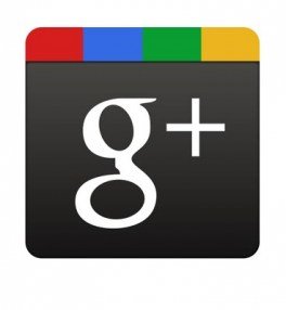 Invite Your Friends To Google+ With New, Tweetable Link